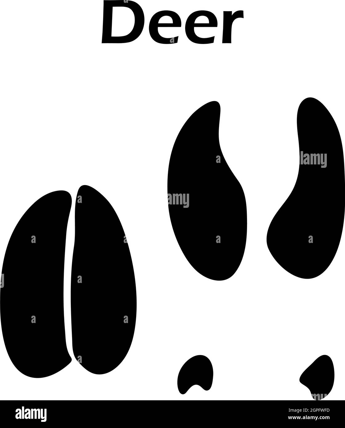 Deer footprint hi res stock photography and images Alamy