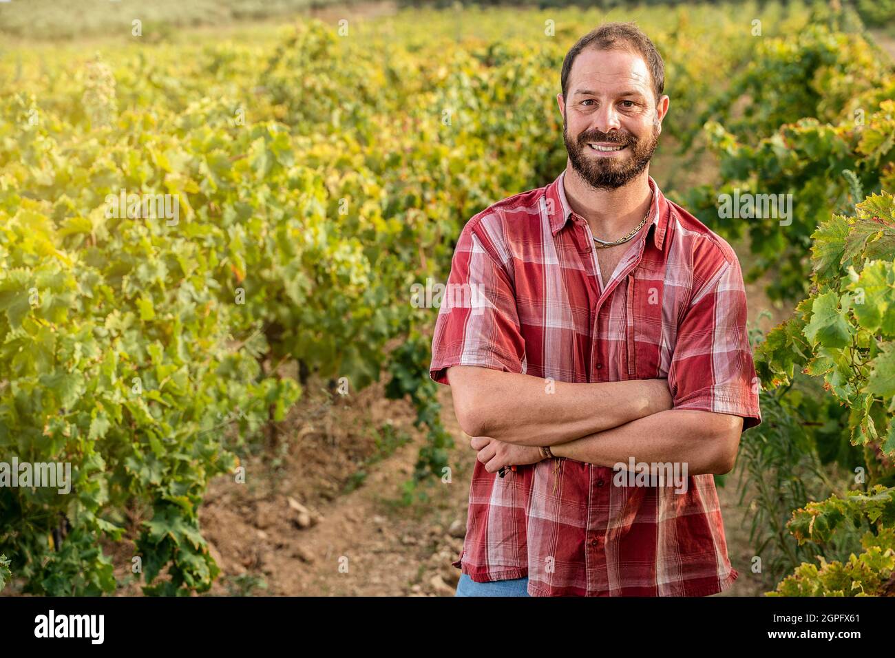 young self-confident farmer in the vineyard Stock Photo