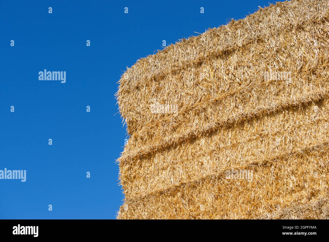 Straw bales stacked and blue sky Stock Photo - Alamy