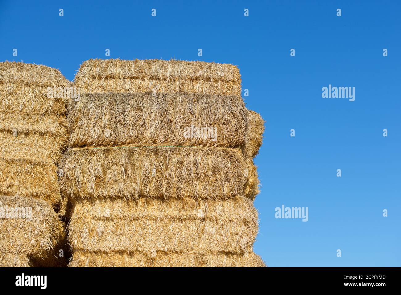 Straw bales stacked and blue sky Stock Photo - Alamy