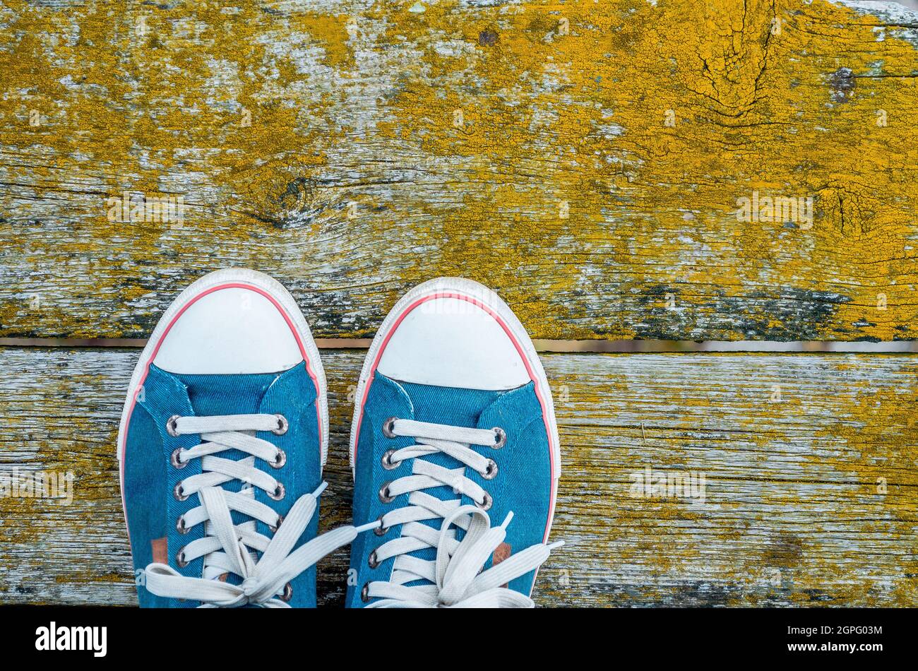Sneakers on the old wooden floor of moss tree Stock Photo - Alamy