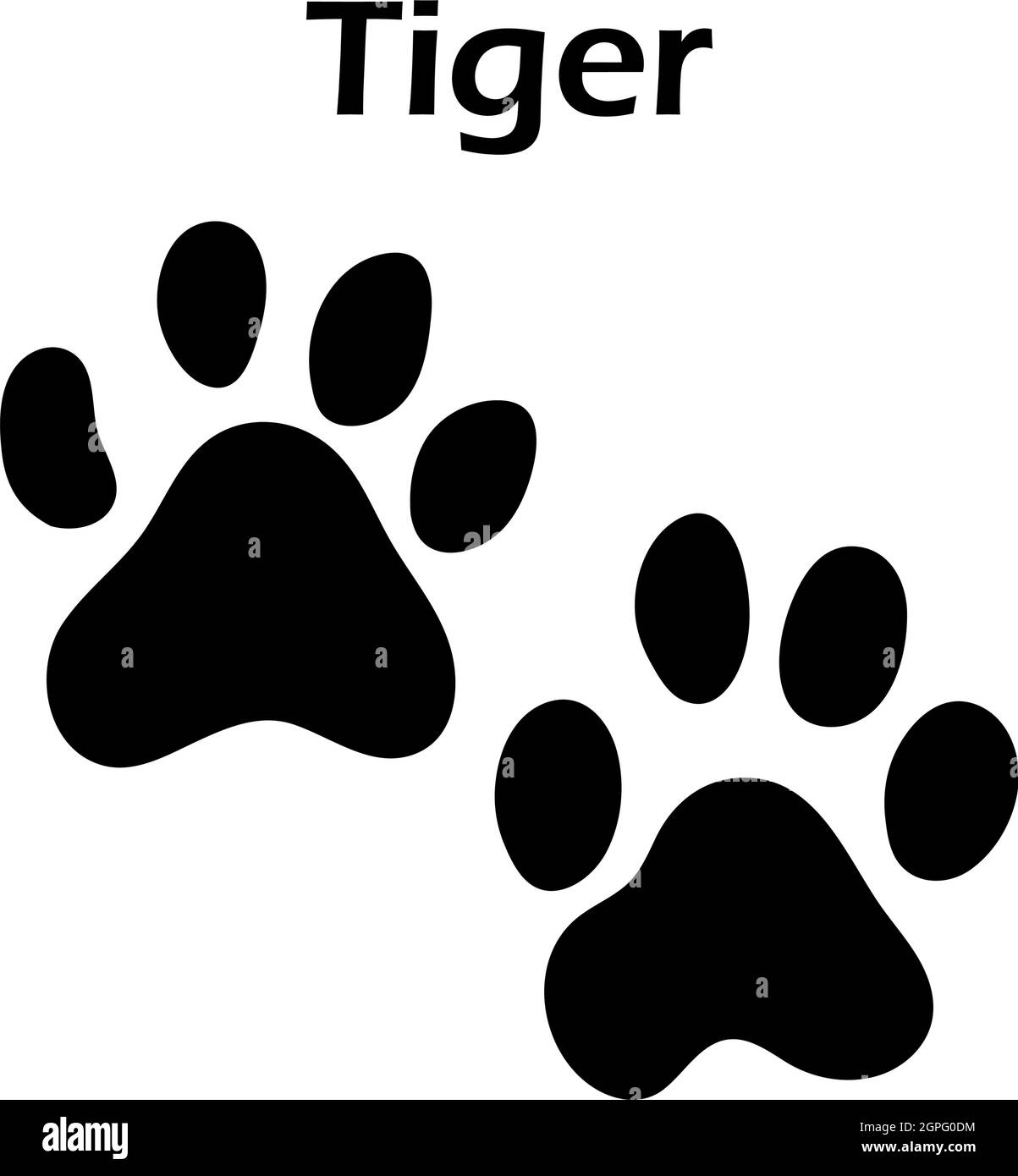 Tiger Footprint Stock Vector