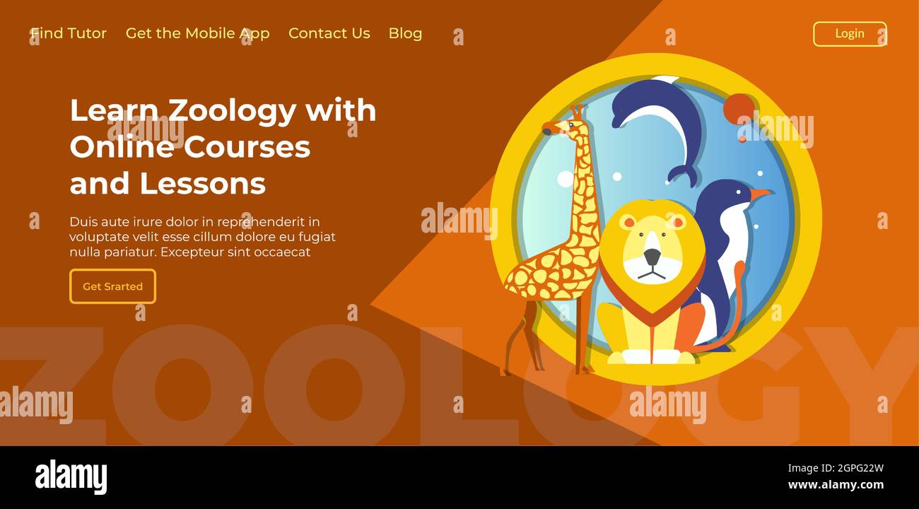 Learn zoology with online courses and classes Stock Vector Image & Art