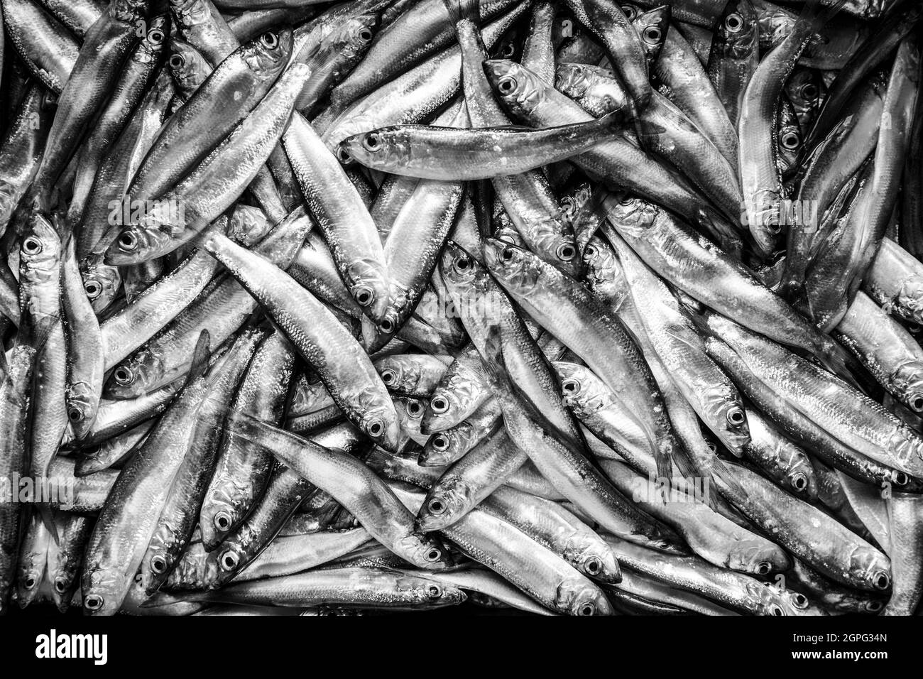 Fresh small fish seafood Black and White Stock Photos Images Alamy