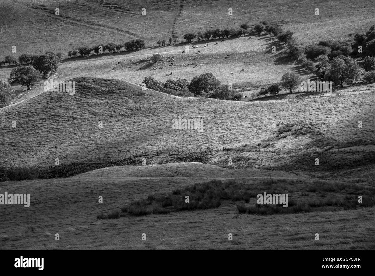Robins Tump, a Bronze Age burial mound below Caer Caradoc Hill in the Shropshire Hills near Church Stretton. Stock Photo