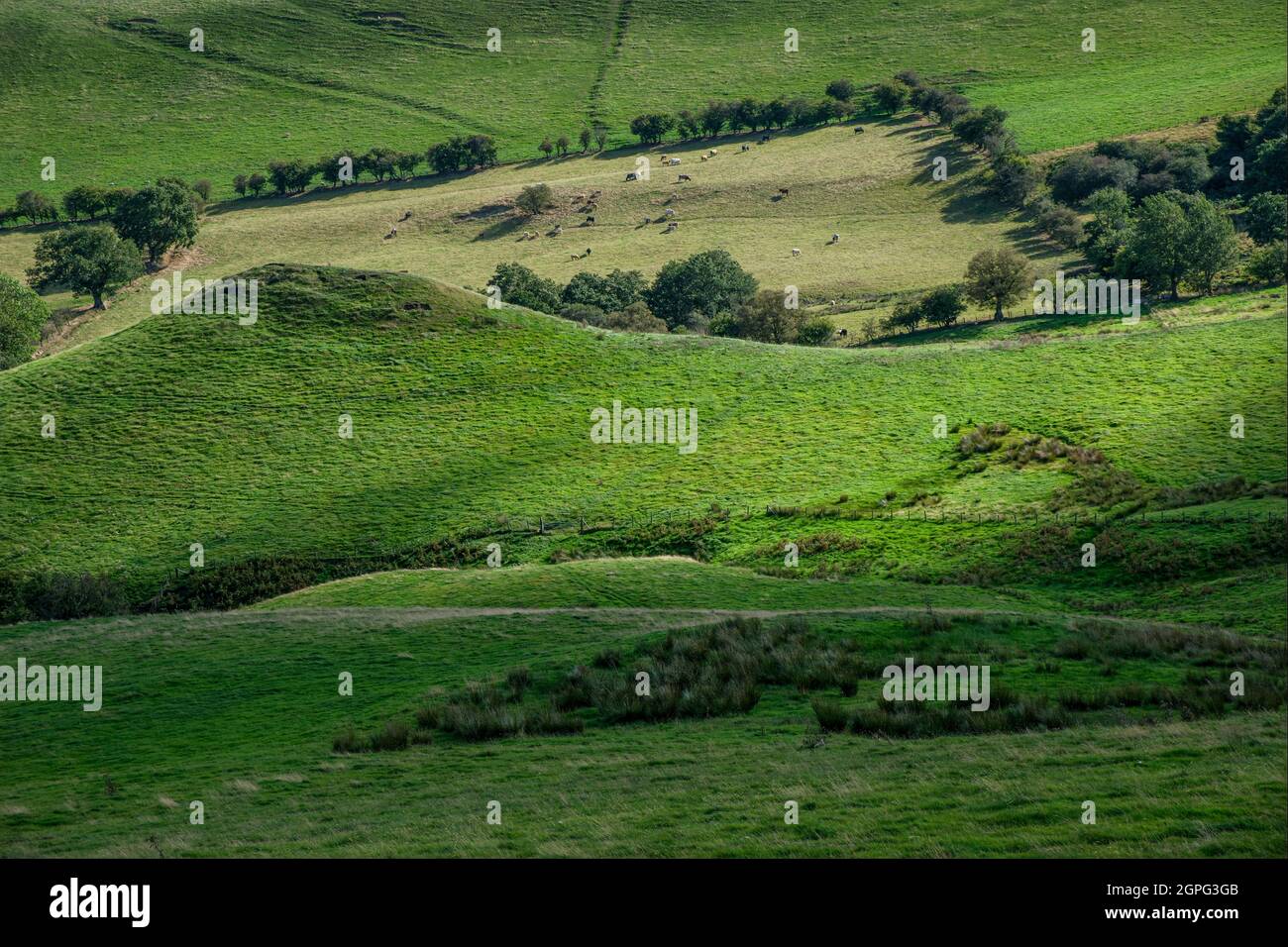 Robins Tump, a Bronze Age burial mound below Caer Caradoc Hill in the Shropshire Hills near Church Stretton. Stock Photo