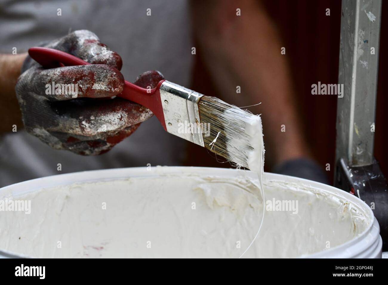 Photo of a man applying white color on a paintbrush to paint house exterior Stock Photo Alamy