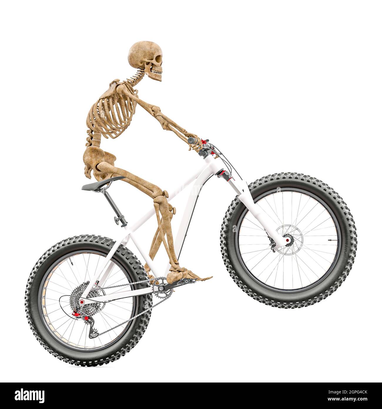 skeleton is riding a bike side view, 3d illustration Stock Photo Alamy