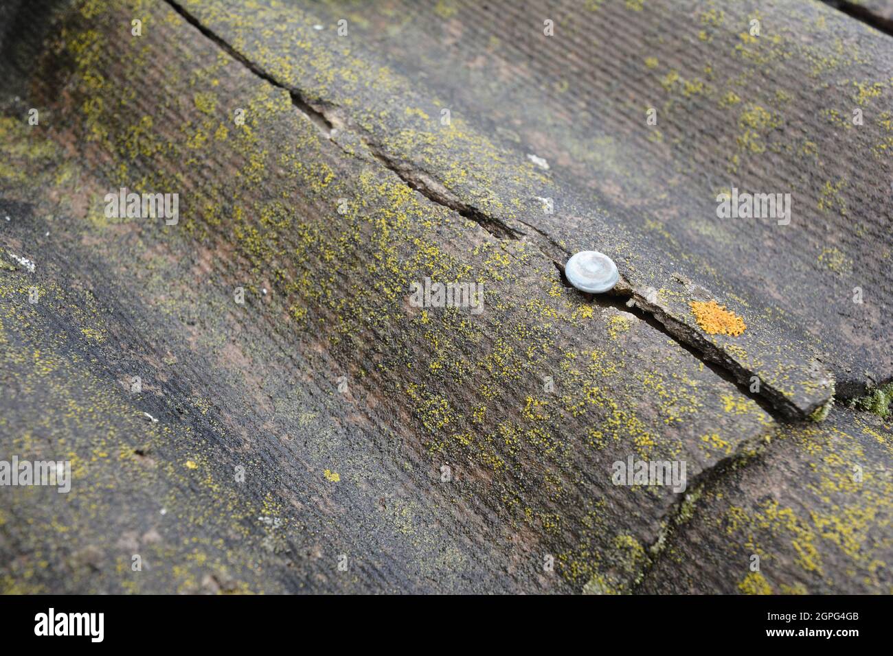 Asbestos roof with big crak in the asbestos sheet nails area Stock Photo Alamy