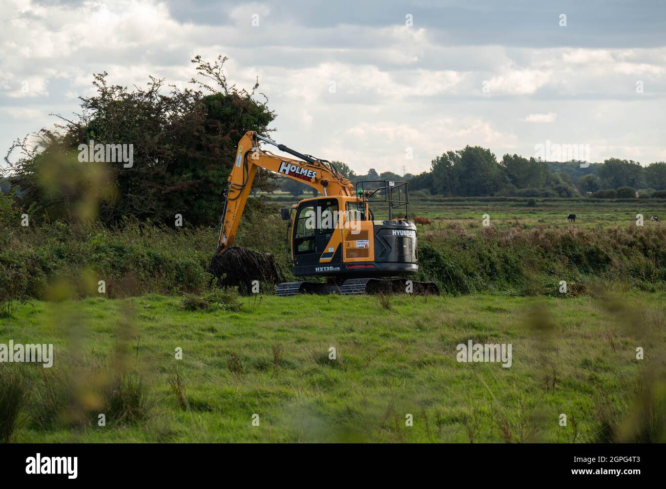 A  digger maintaining drainage ditches on low-lying grazing marsh on the Norfolk Broads at Buckenham Marshes Stock Photo