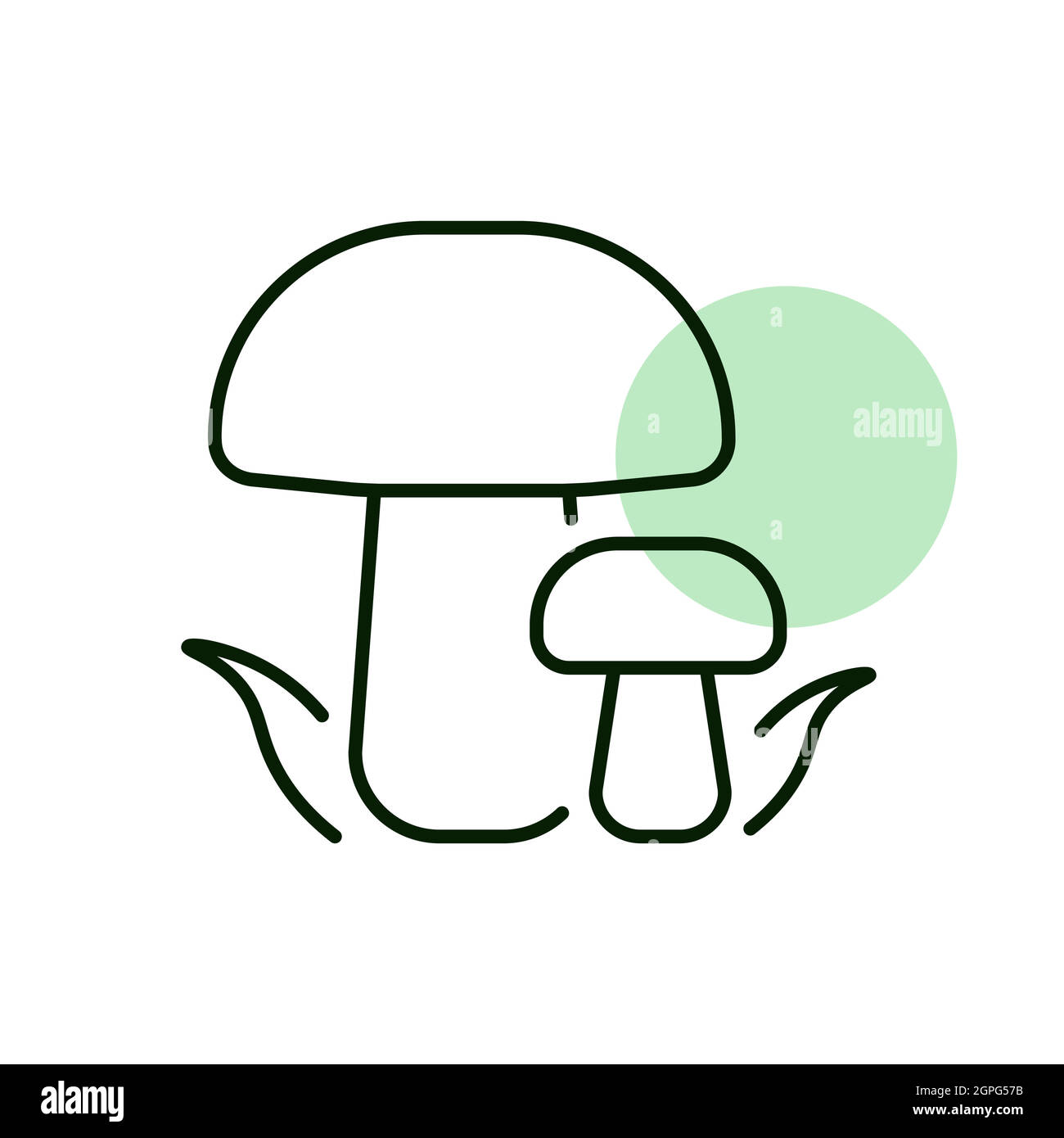 Forest mushrooms with a green grass vector icon Stock Vector