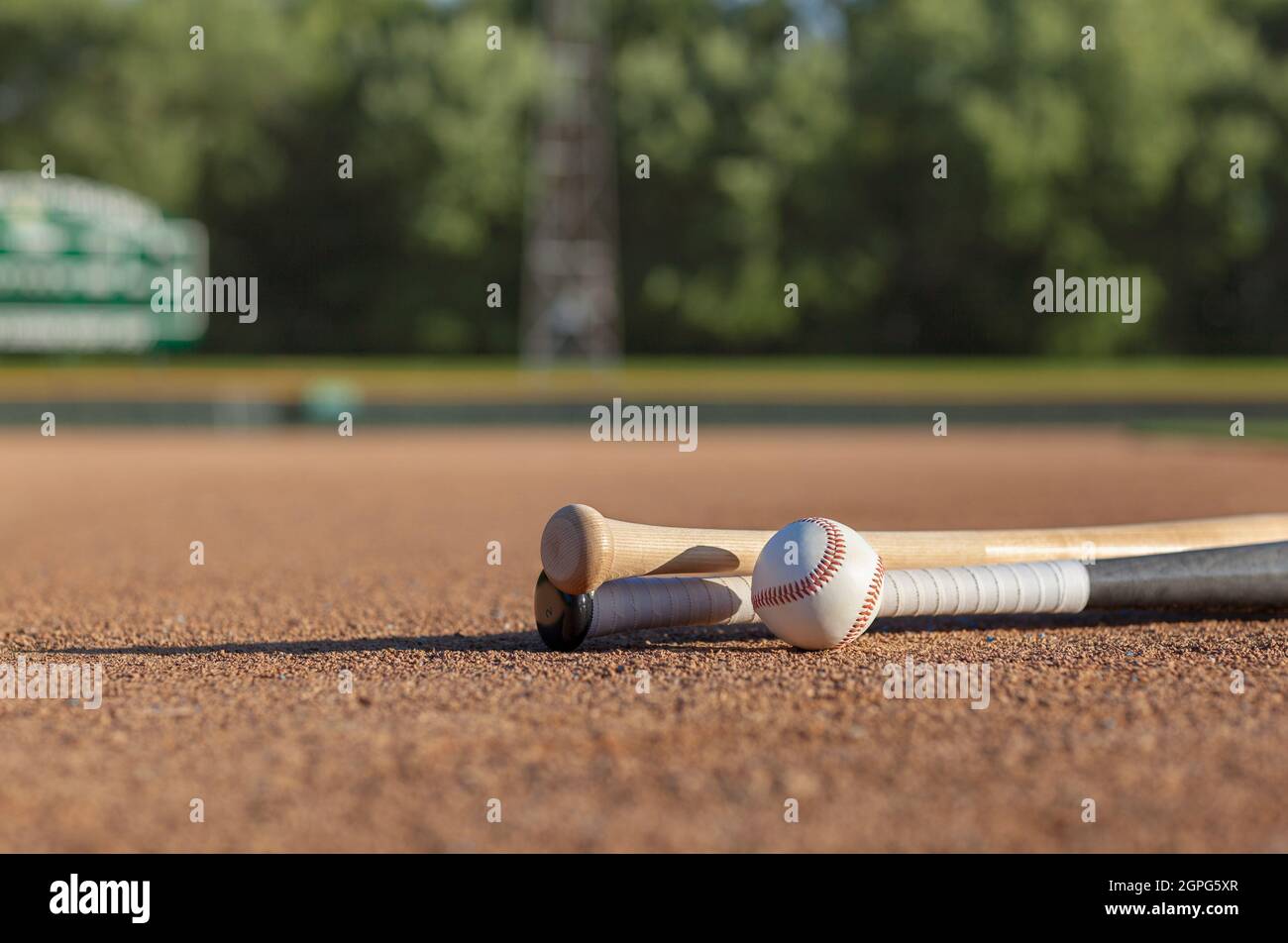 Low angle view of a baseball and wooden bats on dirt infield of baseball park in afternoon sunlight Stock Photo