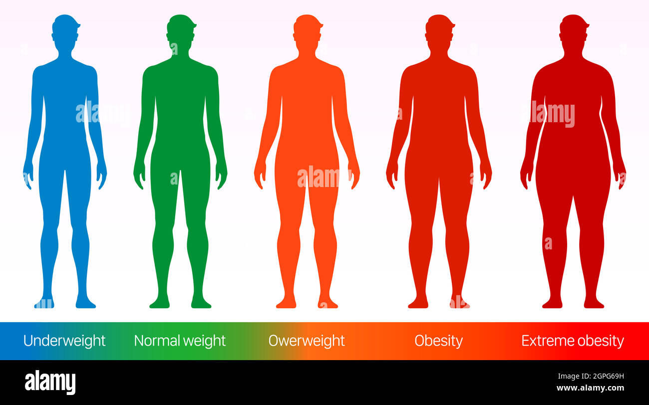 Body mass index vector poster. Adult men with different bodyweight sizes from underweight to overweight. Stock Vector