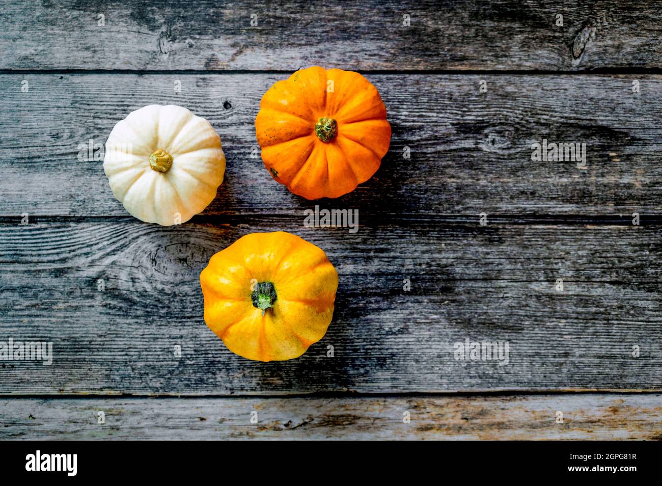 Three decorative mini pumpkins on a rustic wooden background. Stock Photo