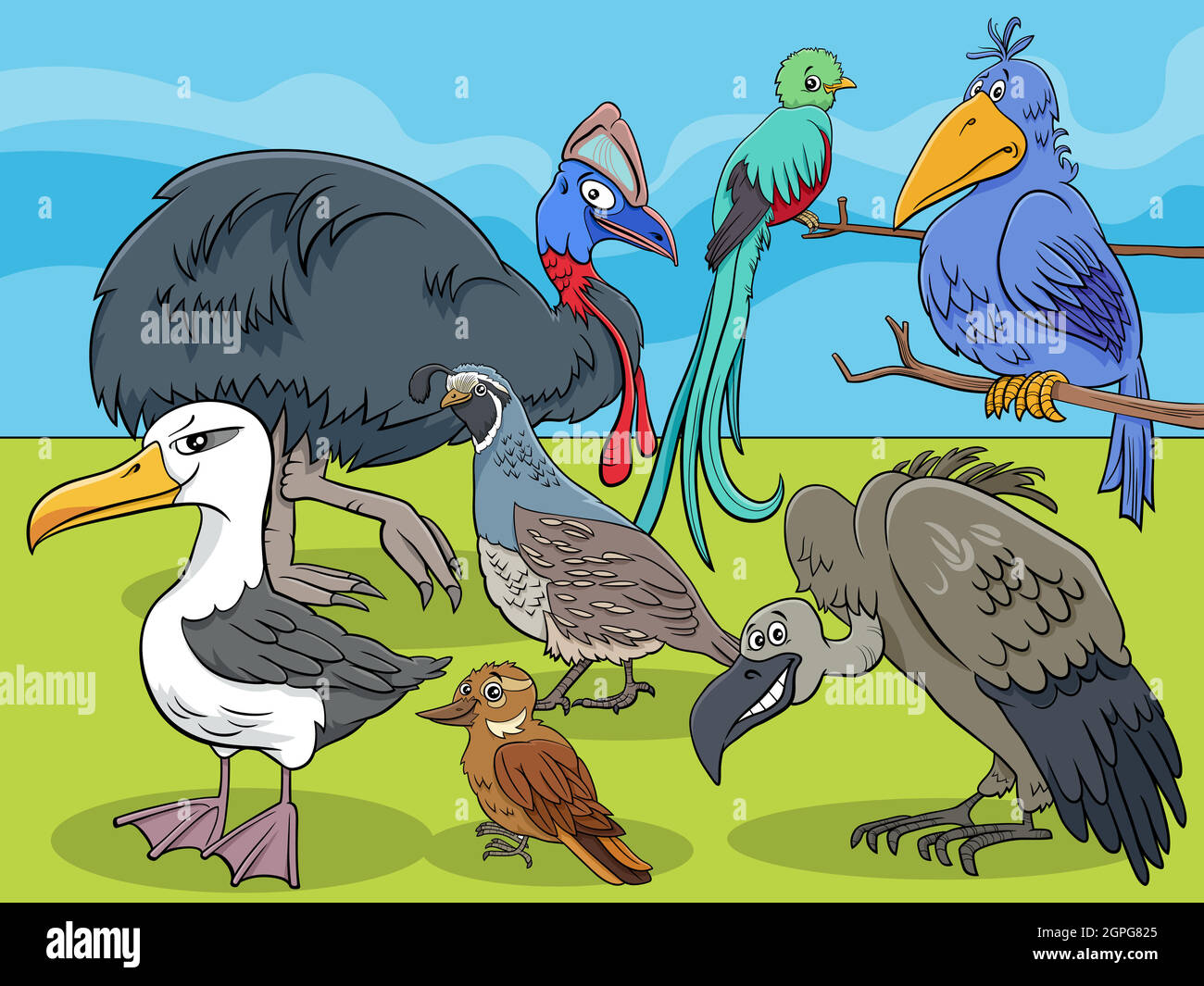birds animal characters group cartoon illustration Stock Vector Image