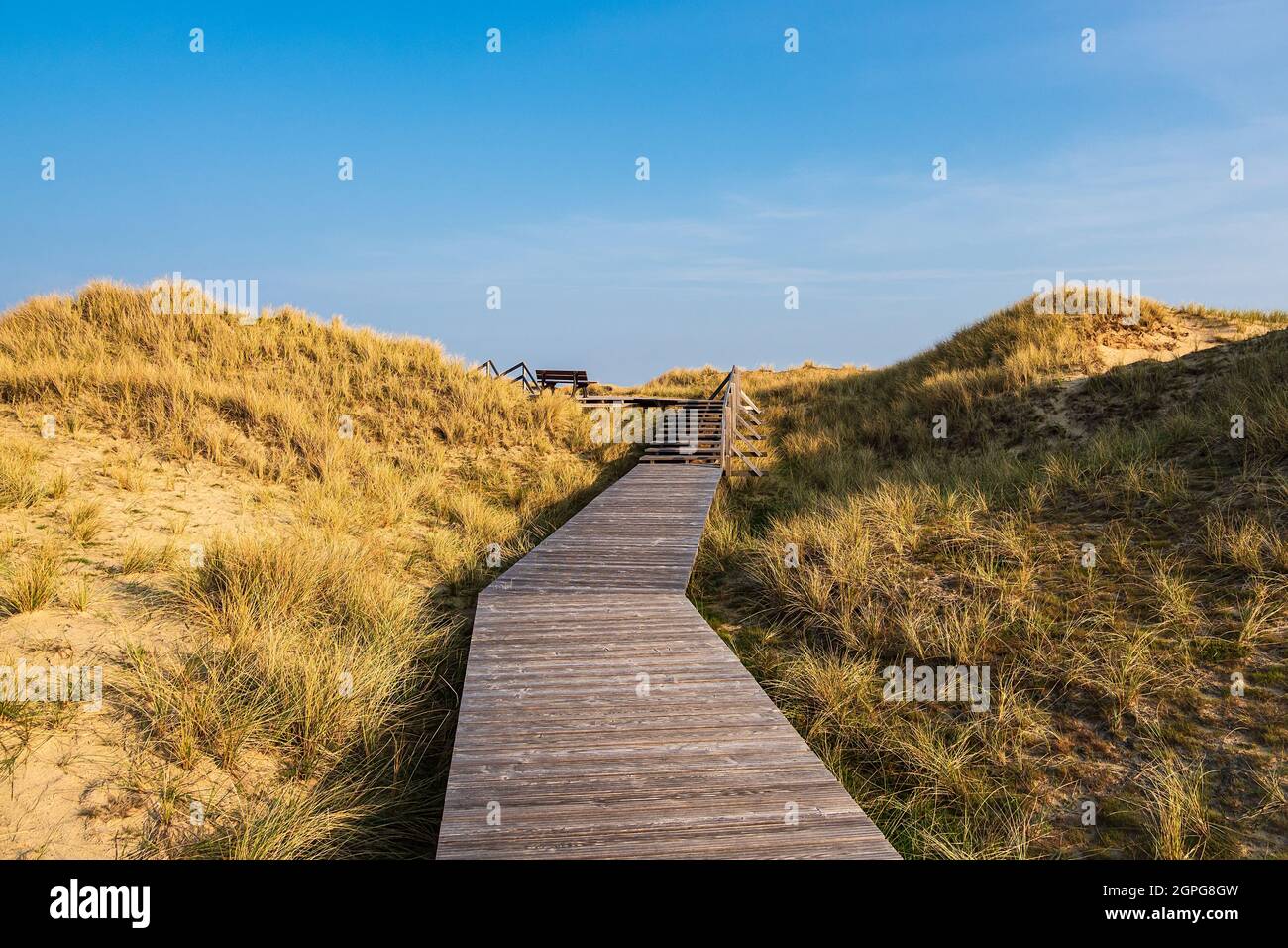 Landscape in the dunes in Norddorf on the North Sea island Amrum ...