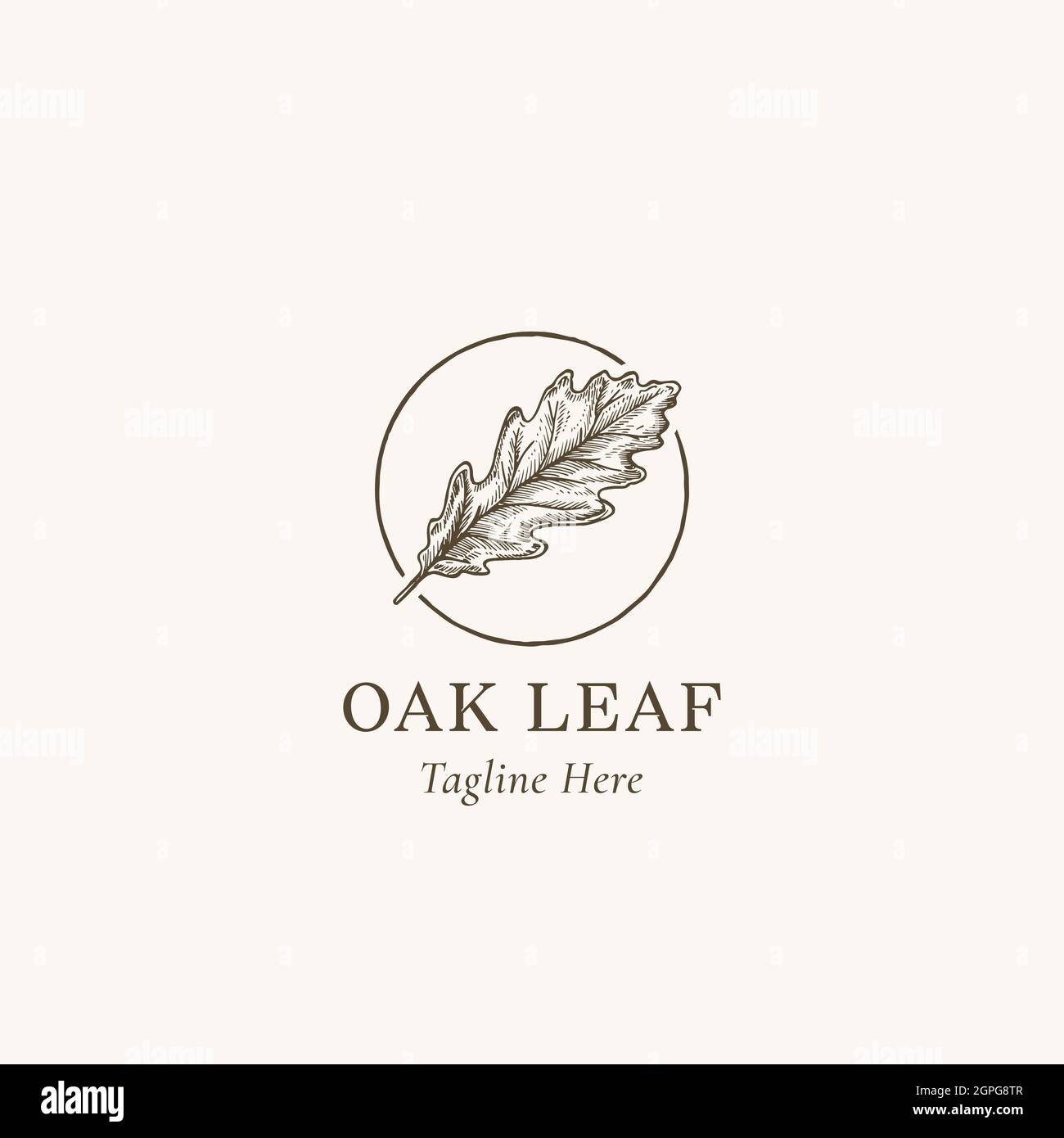 Oak leaf logo hi-res stock photography and images - Alamy
