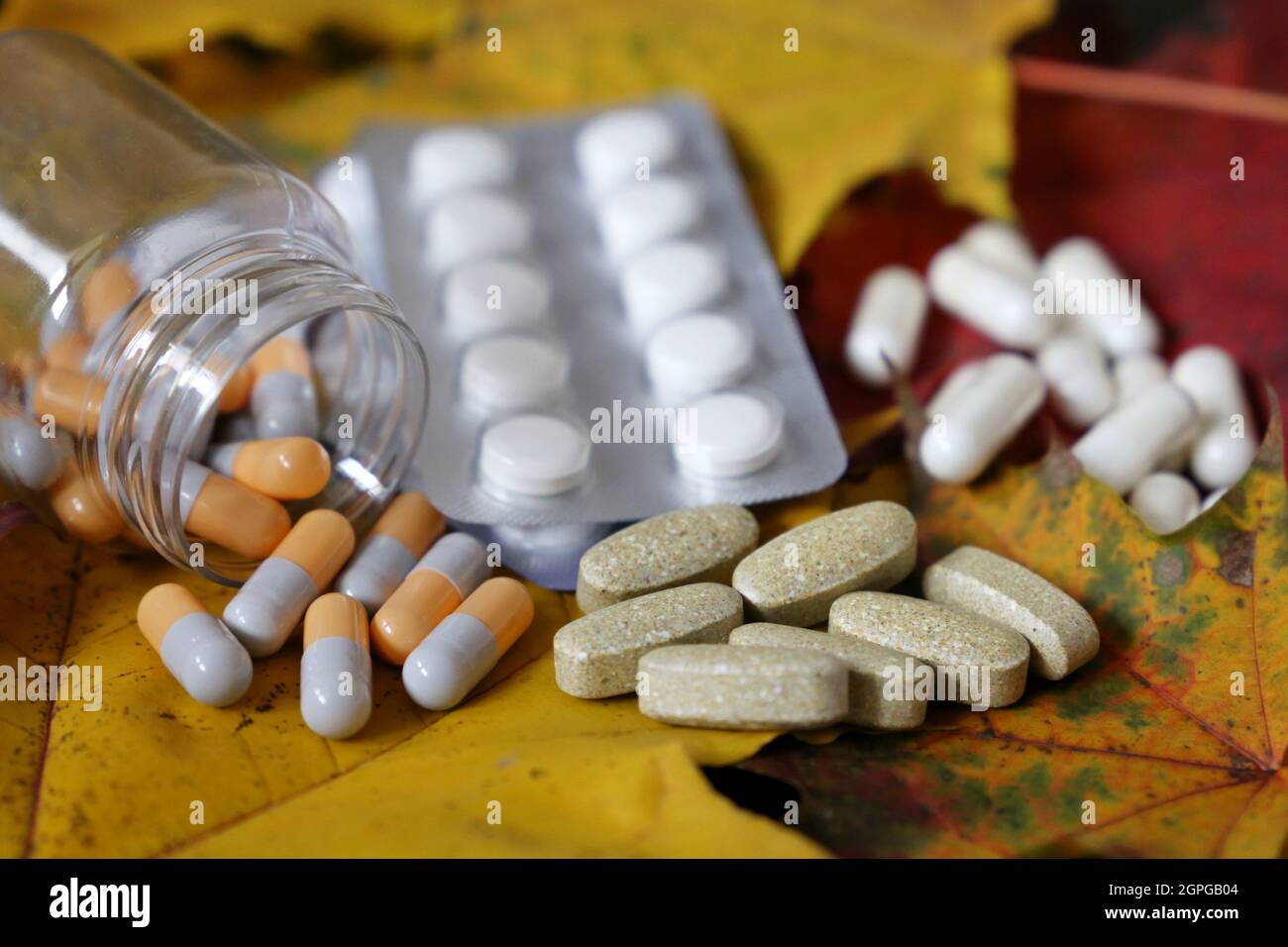 Pills on yellow maple leaves, bottle of capsules and blister packs of tablets. Concept of nutrition supplements, antidepressants, vitamins Stock Photo