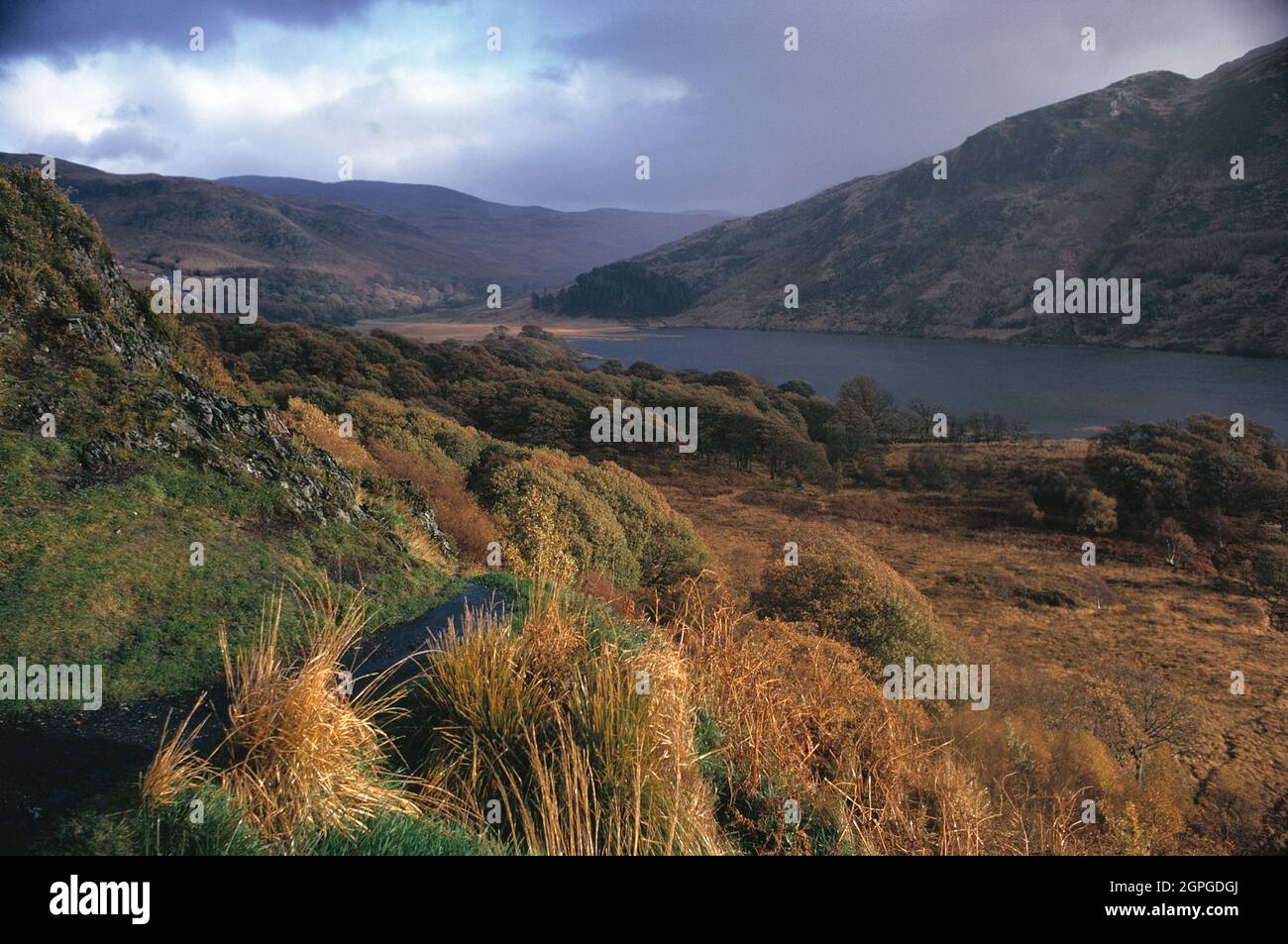 Scotland. Galloway. Newton Stewart. Loch Trool. Stock Photo