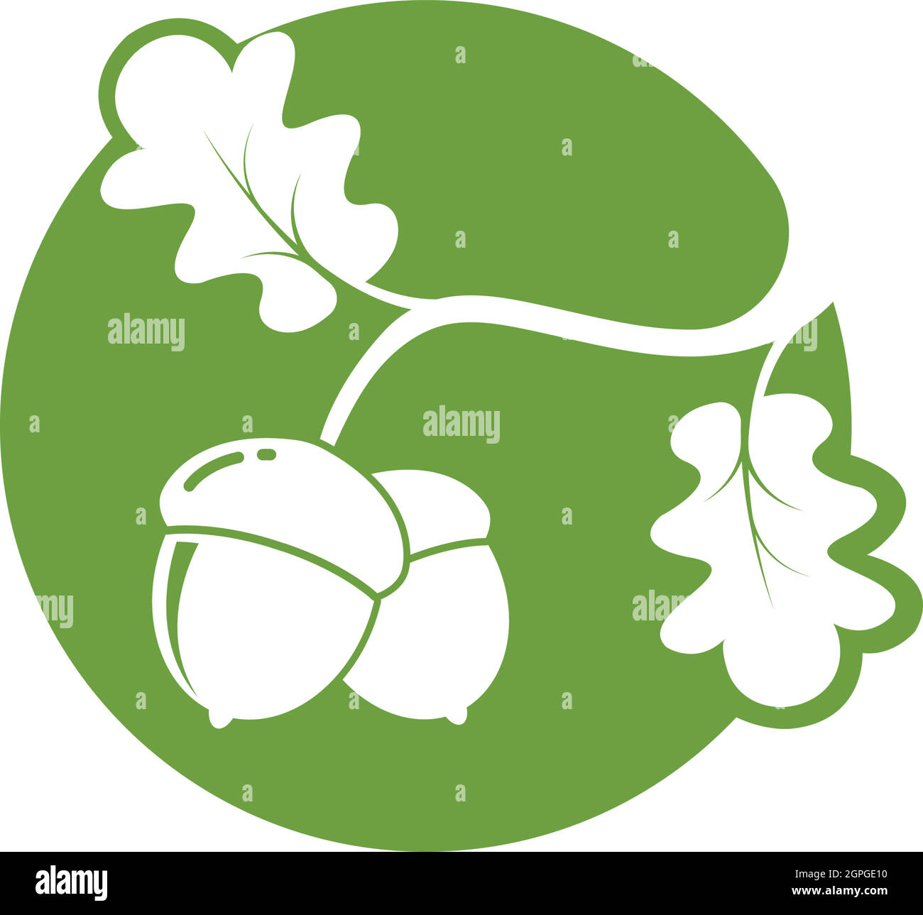 oak acorn vector illustration design Stock Vector