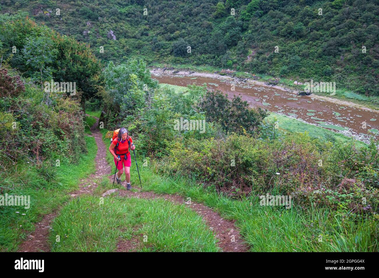 France, Cotes d'Armor, Hillion, hike along the GR 34 hiking trail or customs trail along Le Gouessant river polluted by green algae Stock Photo