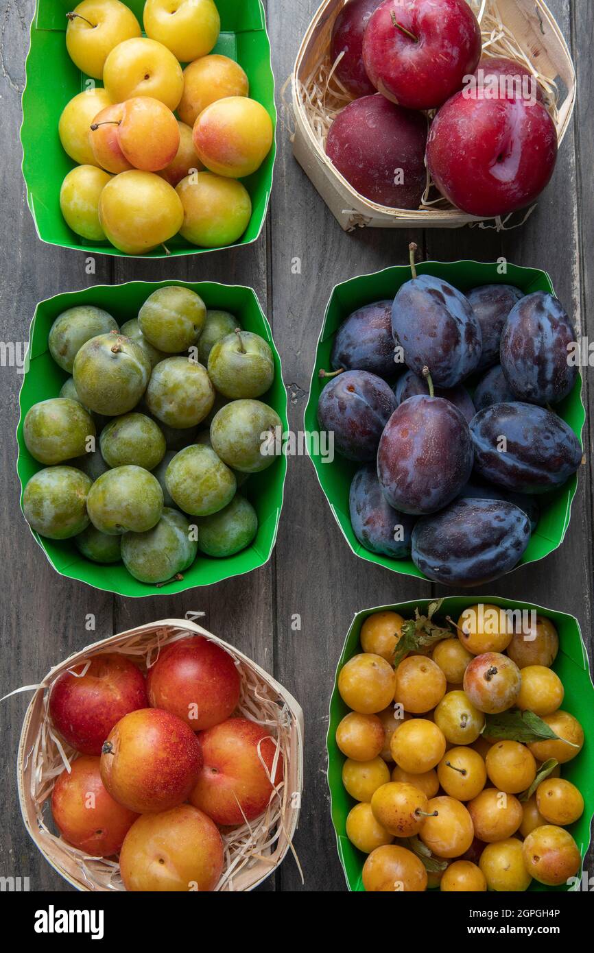 France, Tarn et Garonne, variety of different red and yellow plums