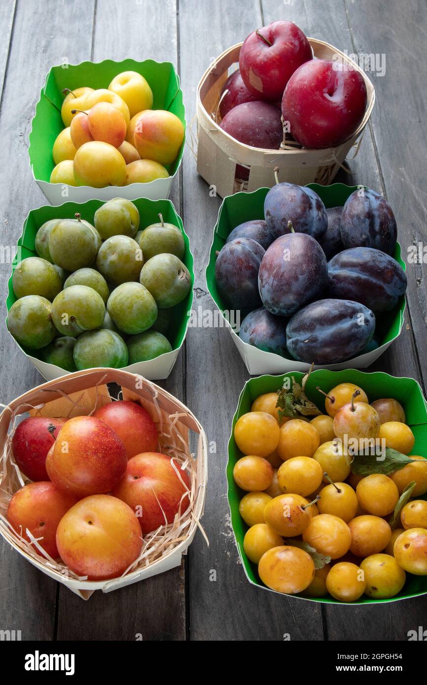 Reine claude plum hires stock photography and images Alamy