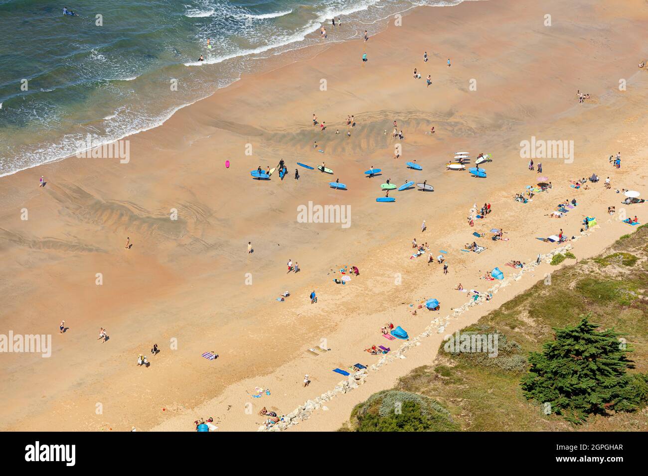 France, Charente Maritime, Dolus d'Oleron, La Perroche bay in summer (aerial view) Stock Photo