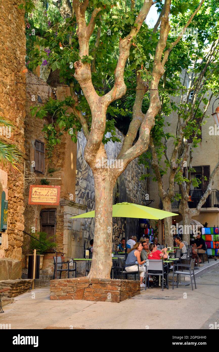 Poster Odyssey — La Rue Carnot, Bormes-les-Mimosas — A2/A3 main image 1