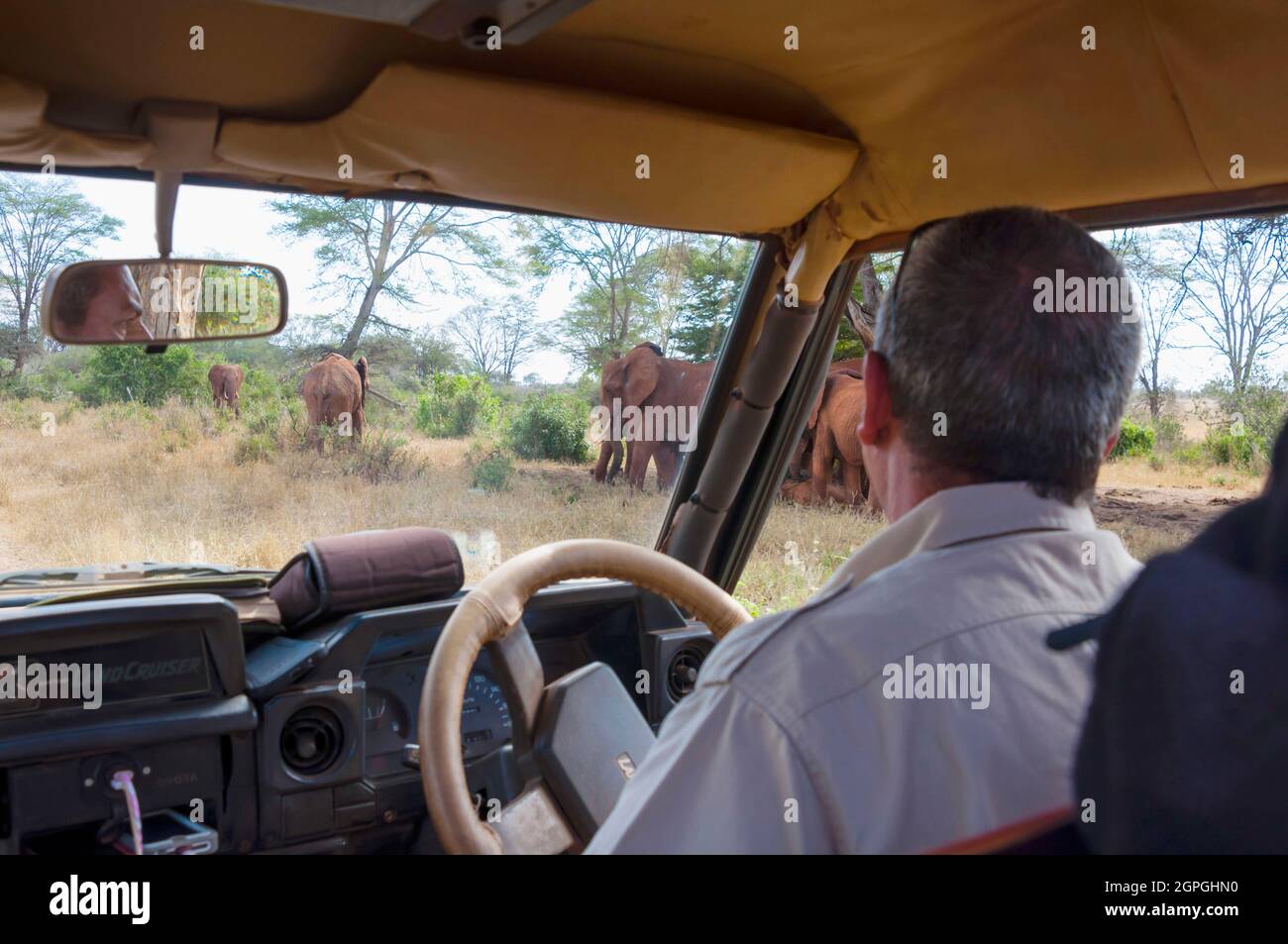 Kenya, Tsavo West National Park, Elephant (Loxodonta africana), game drive Stock Photo