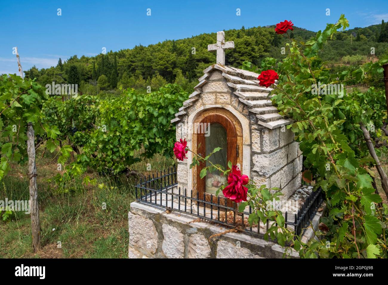 Croatia, Dalmatia, Elaphite Islands, Sipan Island, Sudurad, vineyards, little chapel Stock Photo