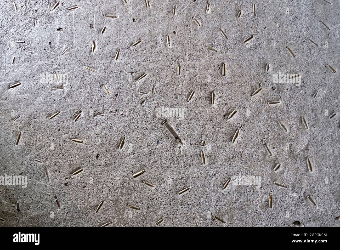 Croatia, Slavonia, Ovcara, the Ovcara memorial (Spomen Dom Ovcara), rifle bullets embedded in the ground, November 20, 1991, 264 people from Vukovar hospital will be tortured and executed by Serbian forces, 7 people will be indicted by the ICTY for crimes against humanity and war crimes Stock Photo