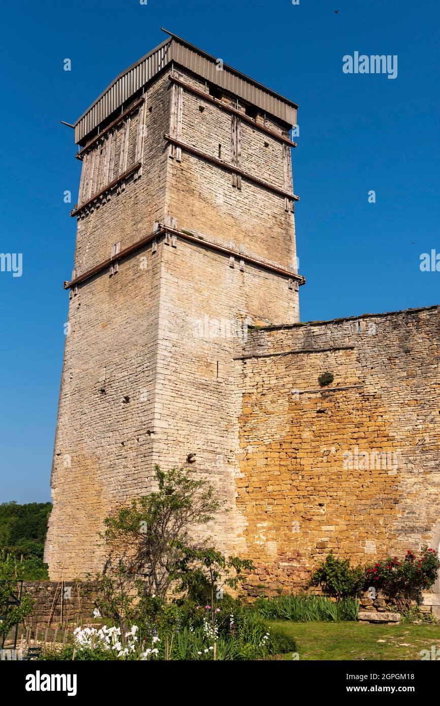 France, Haute Saone, Oricourt, medieval castle of Oricourt from the 12th century Stock Photo