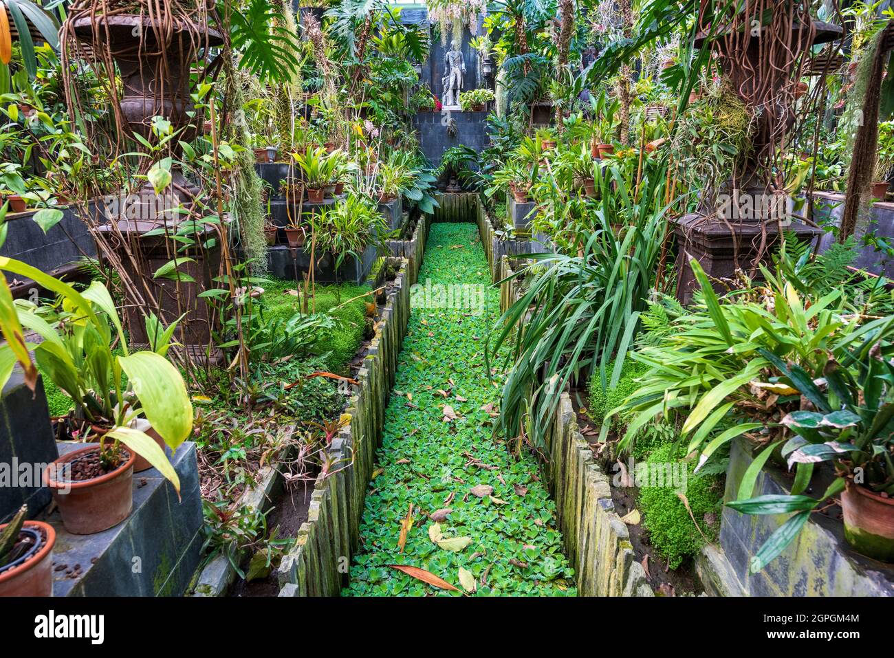 France, Eure, Sainte Opportune du Bosc, Castle and Battlefield Garden by interior designer Jacques Garcia, greenhouses with a collection of orchids Stock Photo