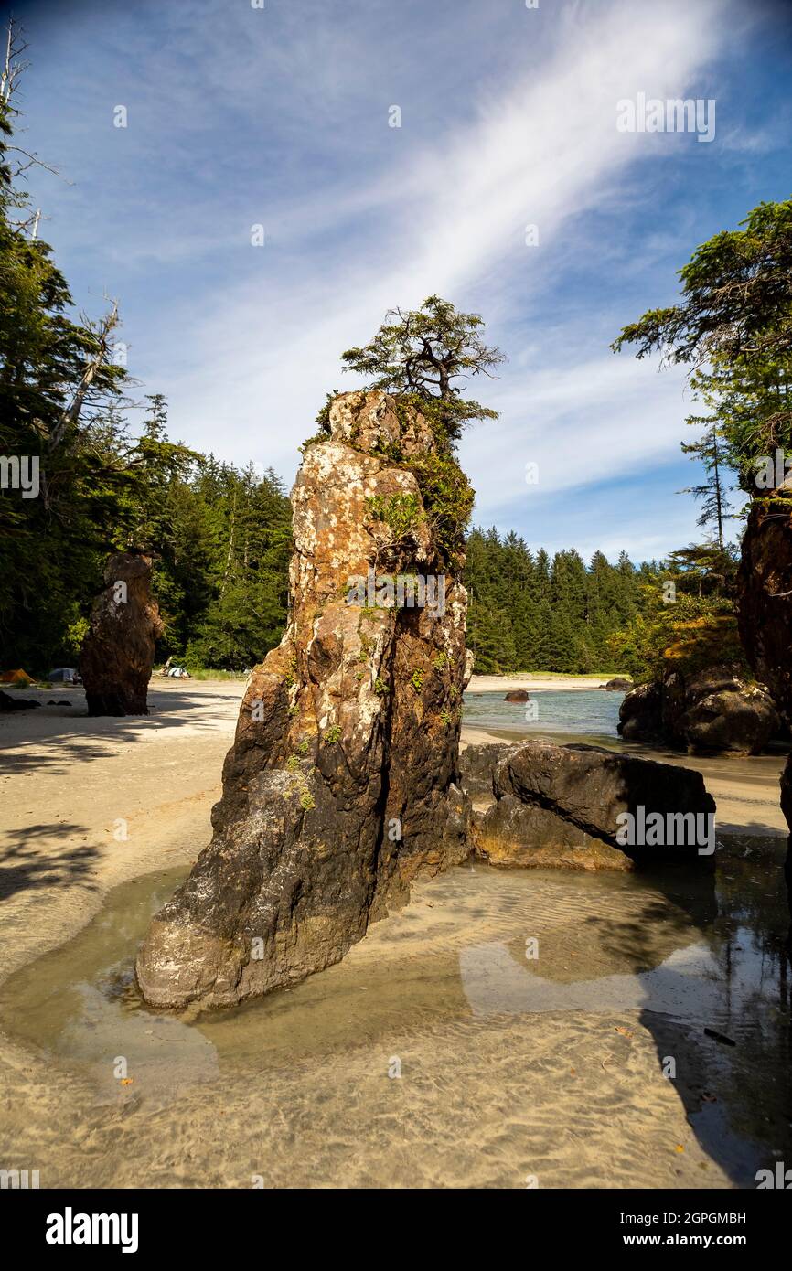 Beautiful San Josef Bay, Cape Scott Provincial Park,Vancouver Island, BC, Canada Stock Photo Alamy