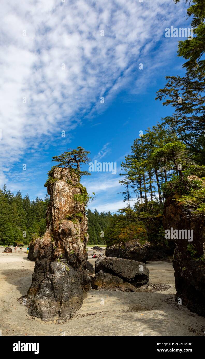Beautiful San Josef Bay, Cape Scott Provincial Park,Vancouver Island, BC, Canada Stock Photo Alamy