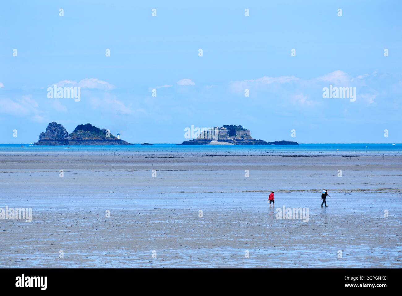 France, Ille et Vilaine, Emerald Coast, Mont Saint Michel Bay, listed as World Heritage by UNESCO, Saint Benoît des Ondes, fishermen on foot in the bay at low tide, island of Rimains in the background Stock Photo
