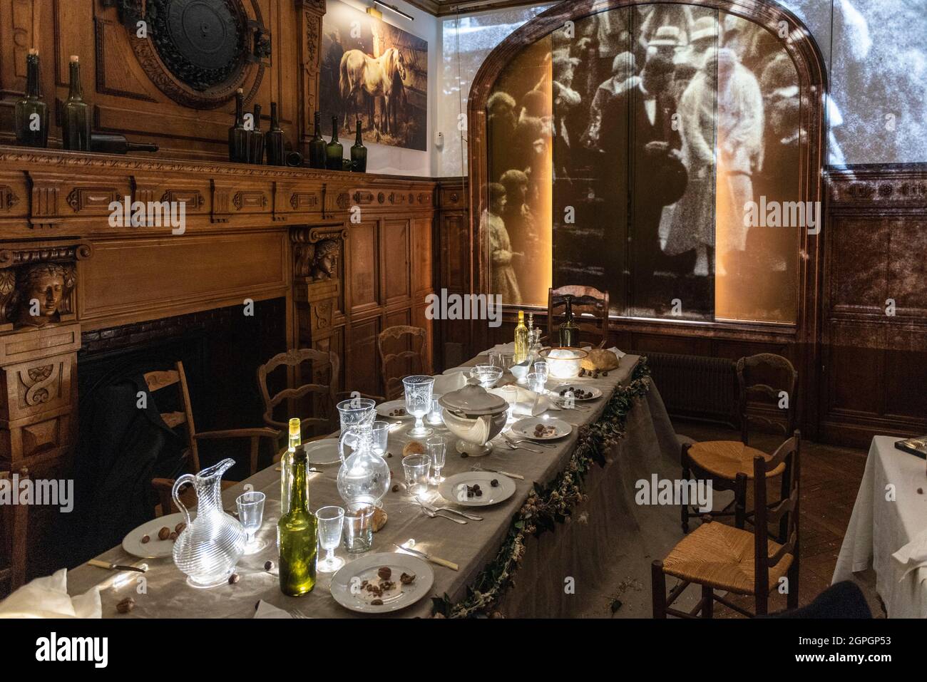 France, Seine Maritime, Rouen, Maison Marrou, exhibition Madame rêve en Bovary as part of the Flaubert bicentenary Stock Photo