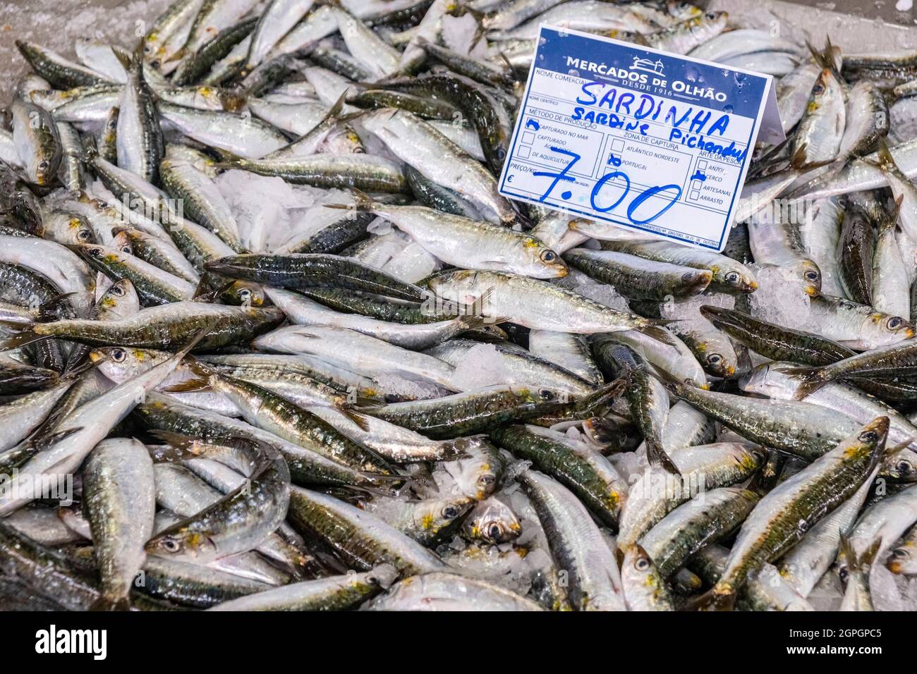 Portugal, Algarve, Olhao, the old town, the fish market Stock Photo