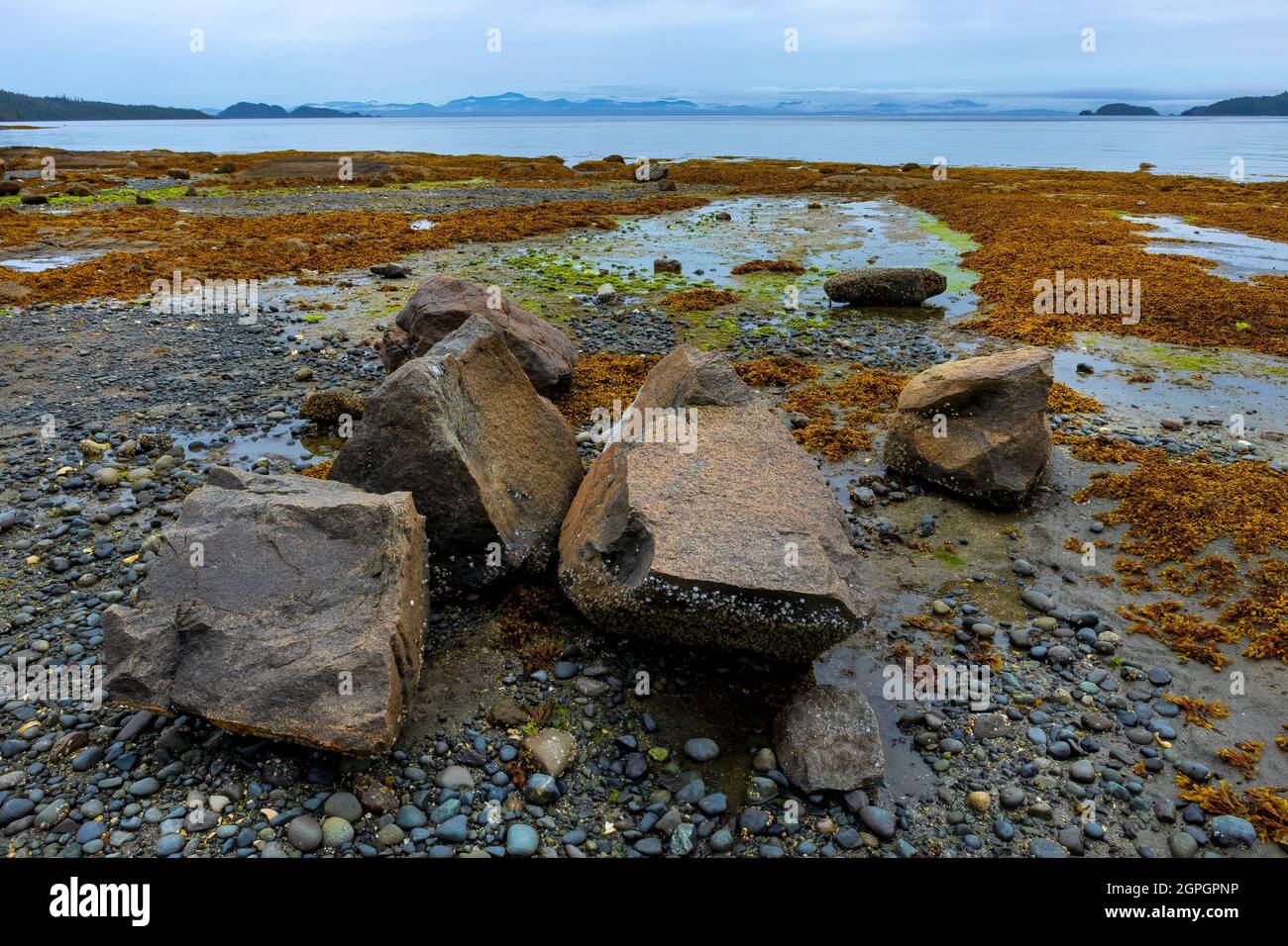 Port Hardy Bay, Port Hardy, Vancouver Island Stock Photo Alamy