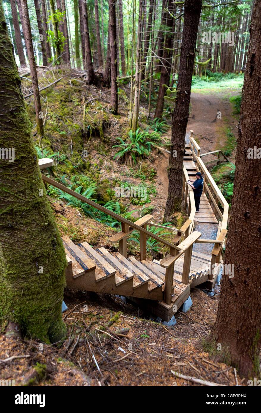 Man walking onboardwalk trail along Alice Lake Loop trail, north island