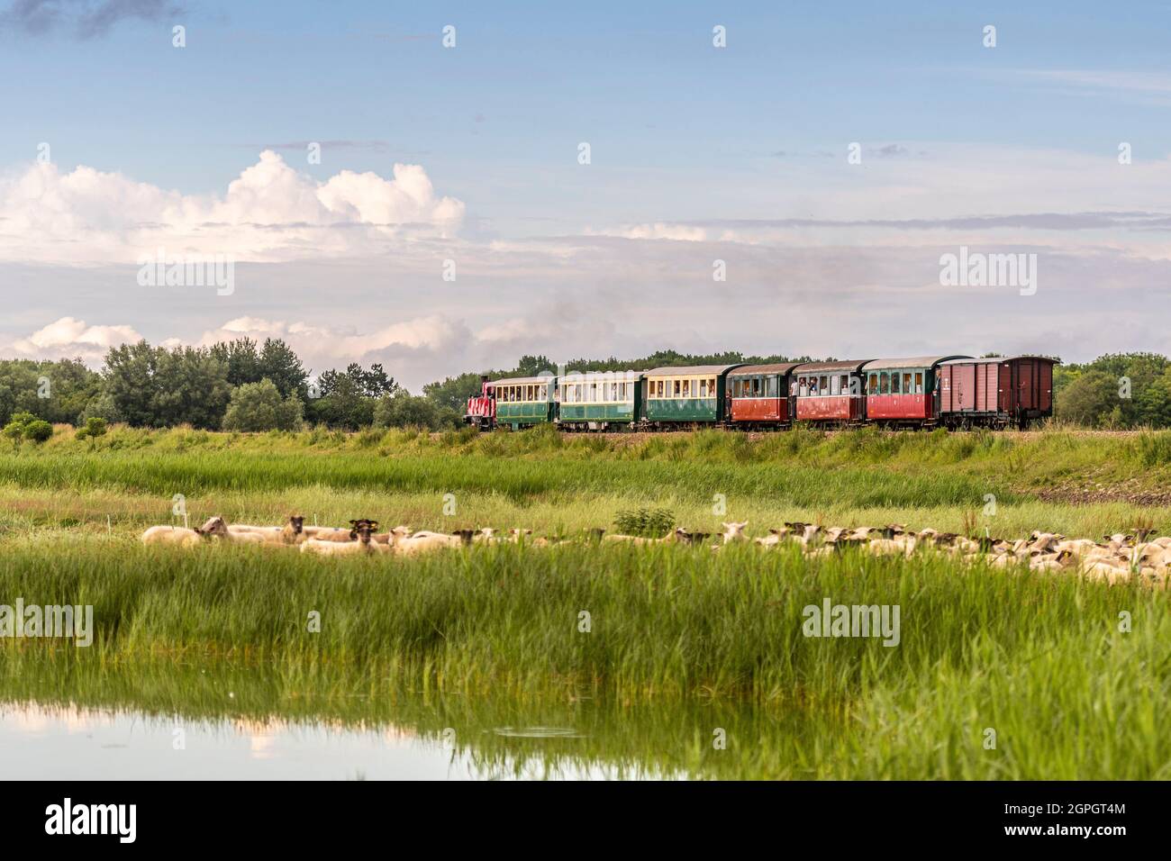 France, Somme (80), Bay of the