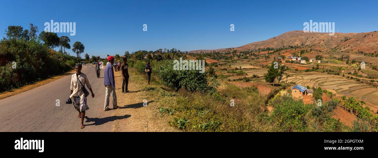 Madagascar, Central Highlands, former province of Antananarivo, Vakinankaratra region, between Betafo and Antsirabe, rice fields in the country of the Betsileo ethnic group Stock Photo