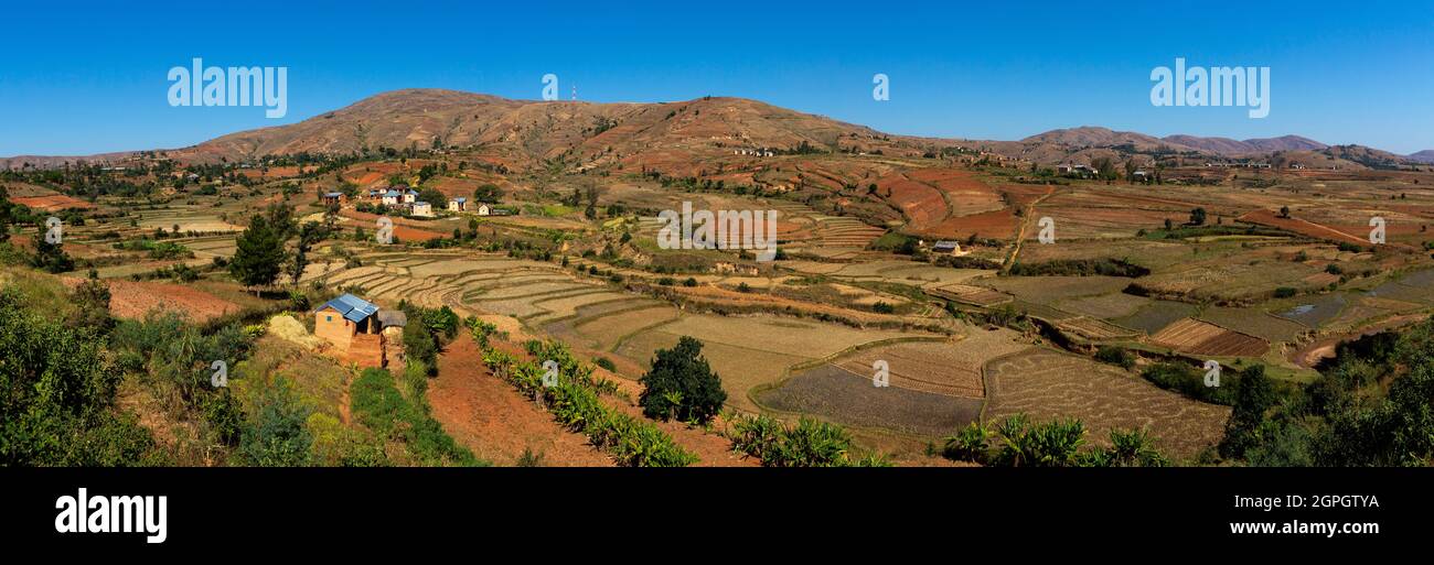 Madagascar, Central Highlands, former province of Antananarivo, Vakinankaratra region, between Betafo and Antsirabe, rice fields in the country of the Betsileo ethnic group Stock Photo