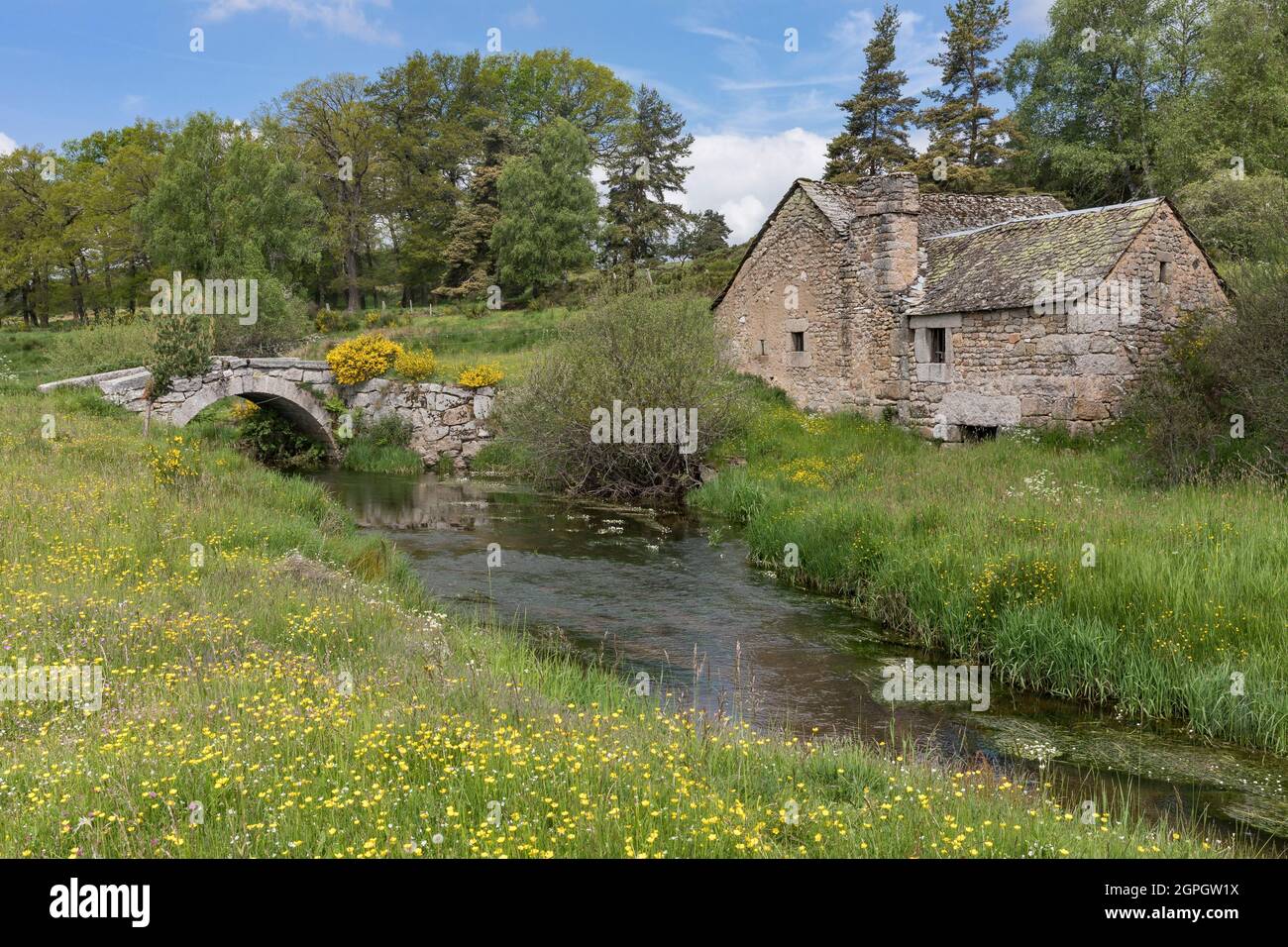 France, Lozere, Peyre-en-Aubrac, the Javols mill Stock Photo