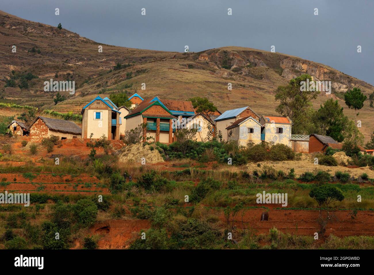Madagascar, Central Highlands, former province of Antananarivo, Vakinankaratra region, between Betafo and Antsirabe, rice fields in the country of the Betsileo ethnic group Stock Photo