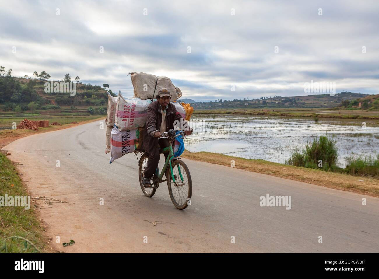 Madagascar, Central Highlands, former province of Antananarivo, Vakinankaratra region, between Betafo and Antsirabe, rice fields in the country of the Betsileo ethnic group Stock Photo