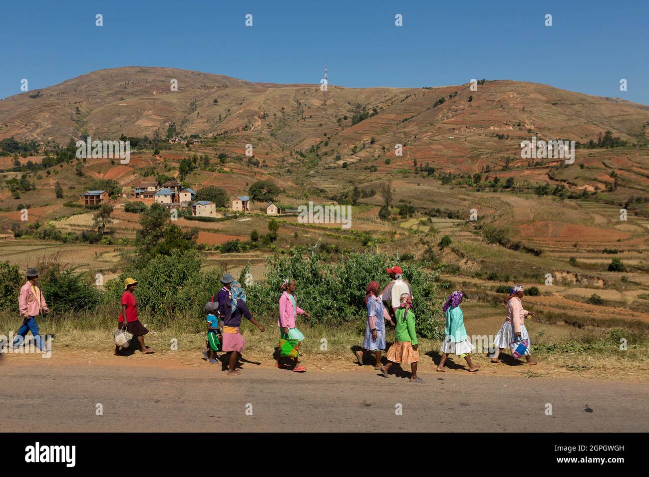 Madagascar, Central Highlands, former province of Antananarivo, Vakinankaratra region, between Betafo and Antsirabe, rice fields in the country of the Betsileo ethnic group Stock Photo