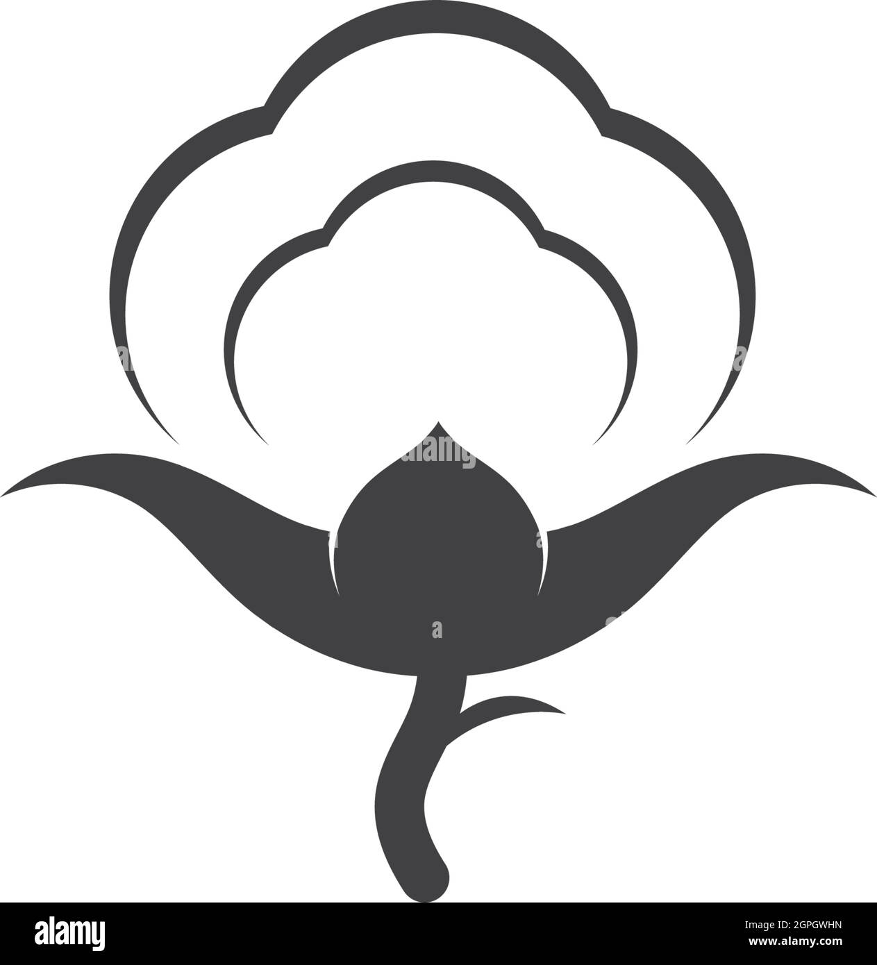 cotton vector illustration design Stock Vector Image & Art Alamy