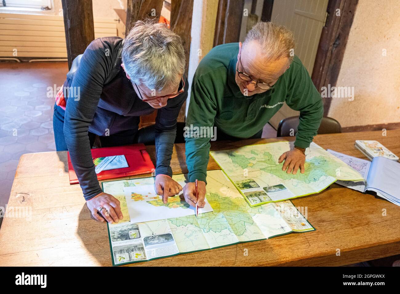 France, Val d'Oise, Montmorency forest, Ink disease (Phytophthora pathogen), the team of scientists determines the areas to be examined (from the left Cecile Robin, Dennis Hemmer) Stock Photo